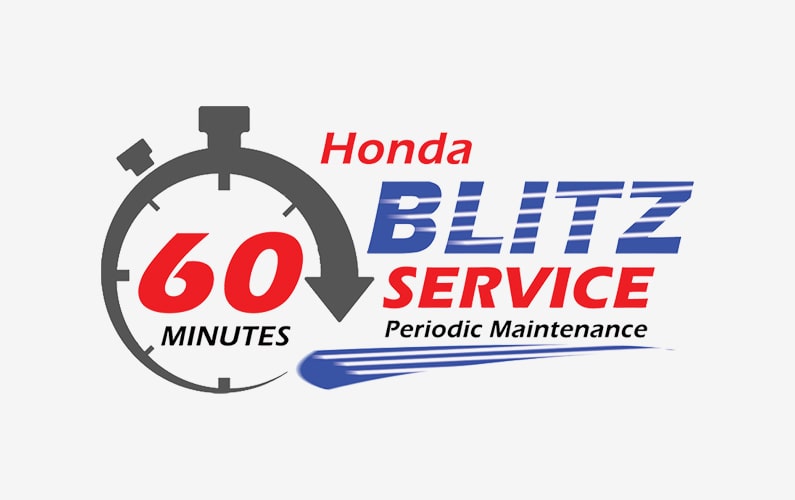 Blitz 60 Minutes Periodic Maintenance Service